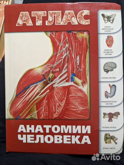 Атлас анатомии человека книги