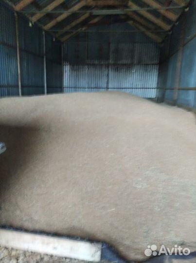 Зерно пшеница ячмень