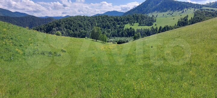 Участок 7 га (СНТ, ДНП)