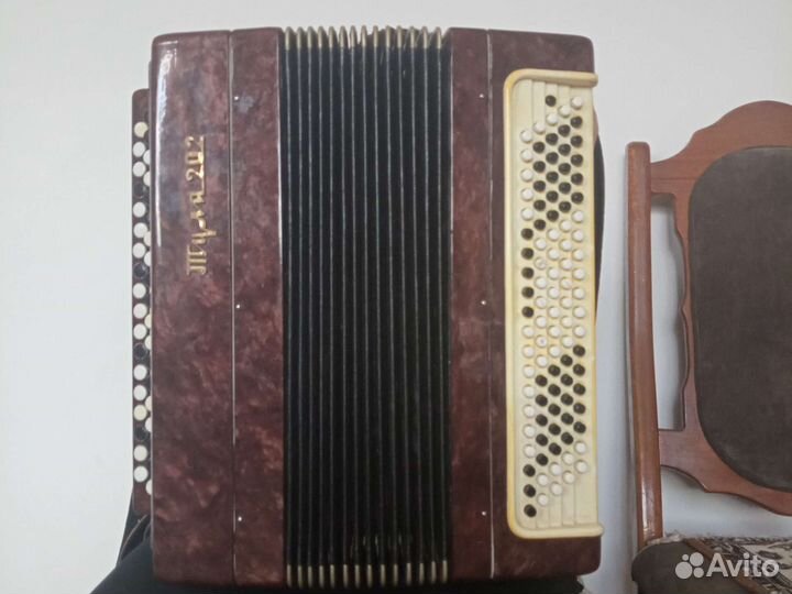 Баян Тула 202