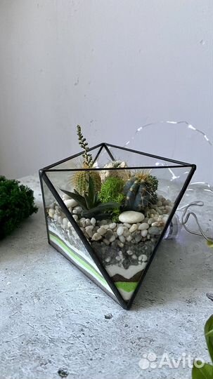 Флорариум с кактусами