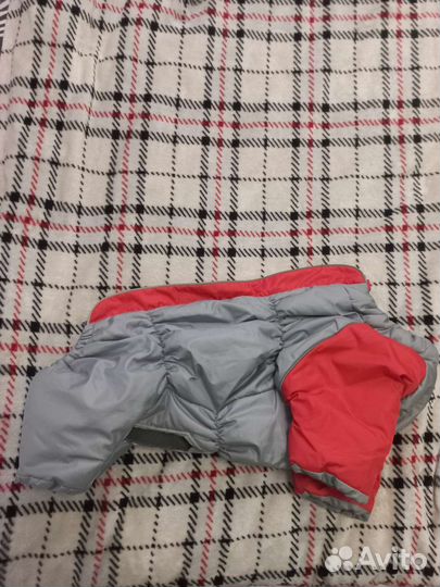 Зимний комбинезон для французского бульдога