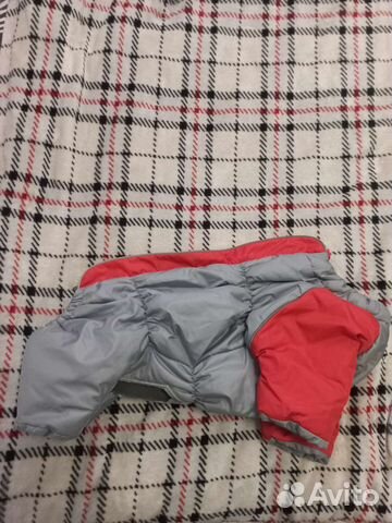 Зимний комбинезон для французского бульдога