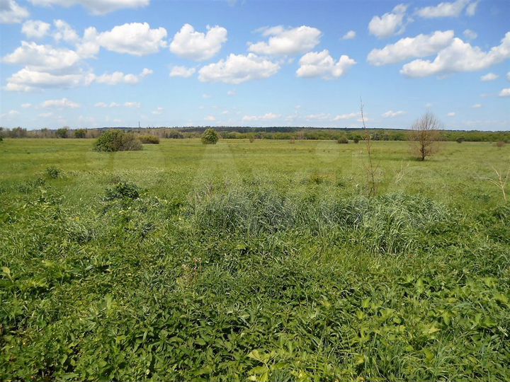 Участок 15 сот. (ИЖС)