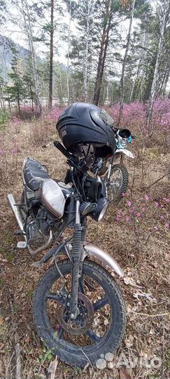 Racer tigr 150