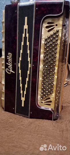 Аккордеон galotta