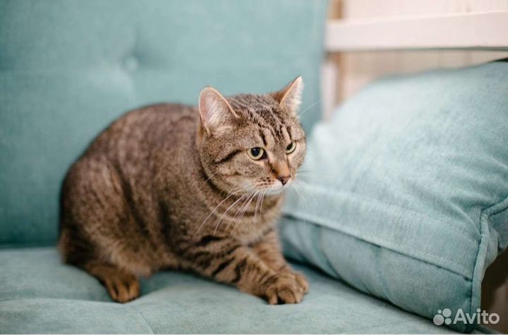 Зимняя сказка