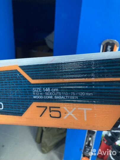 Горные лыжи