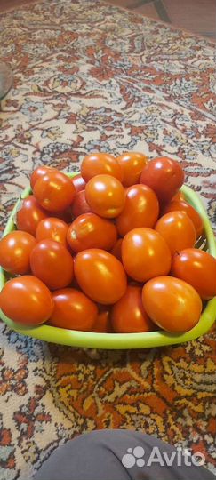 Помидоры