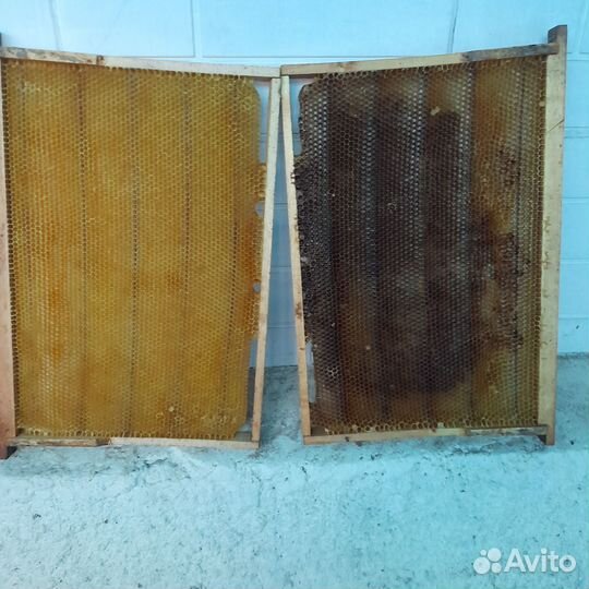 Рамки для ульев дадан сушь,магазин