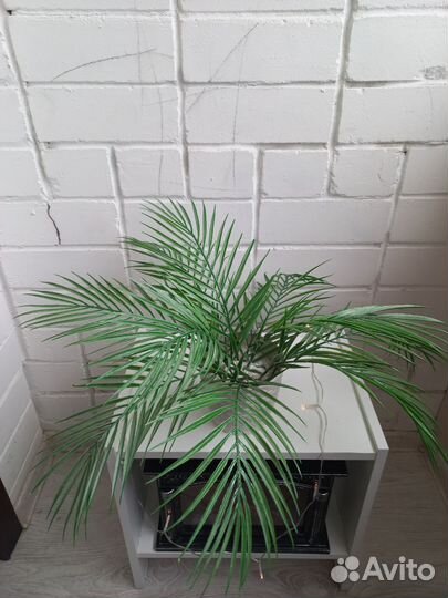 Искуственная пальма