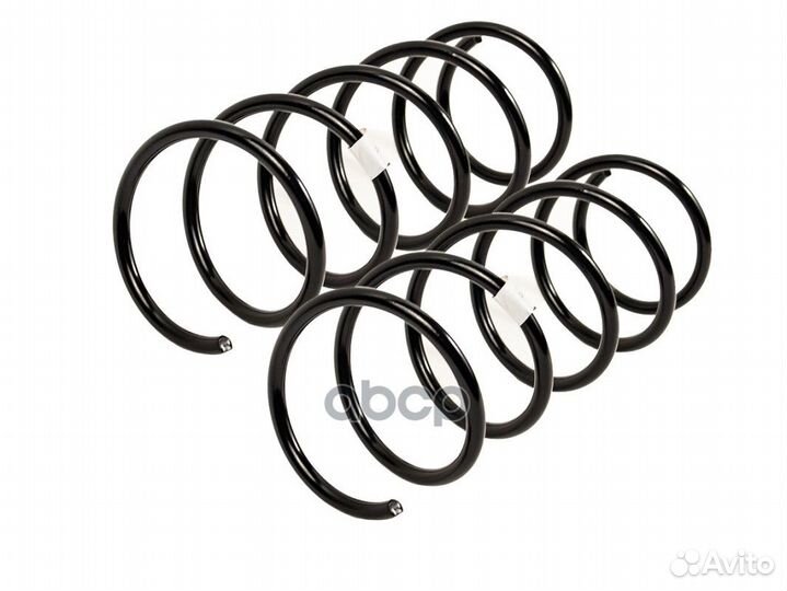 Пружины Renault Symbol/Clio II 09/98-05/05 пер