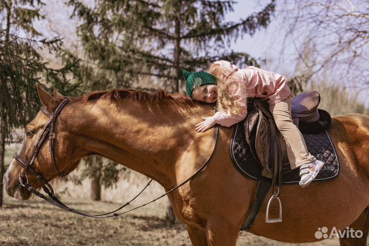 Фотодень с лошадью