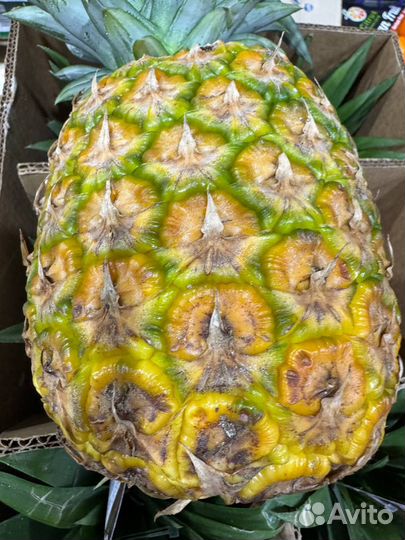 Ананас самолетная доставка