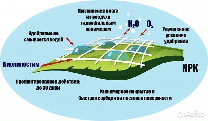 Биоприлипатель Биолипостим