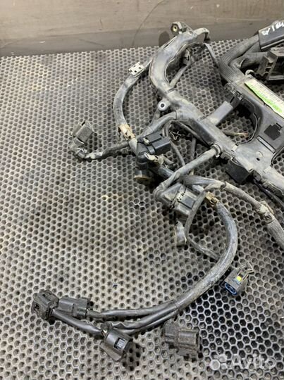 Проводка двигателя OM272 Mercedes W164