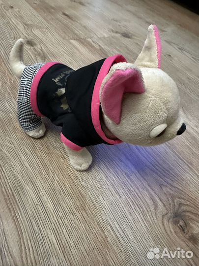 Собачка Chi chi love в сумочкe