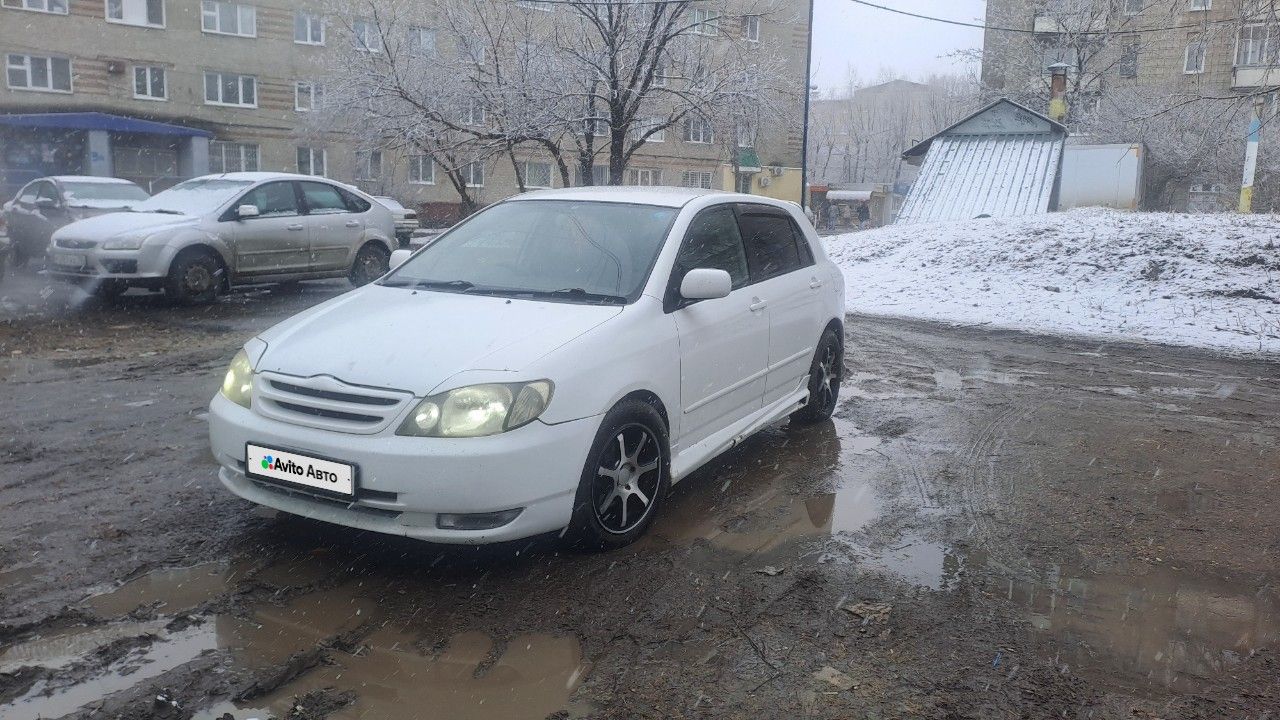 Toyota Corolla Runx: фото из отзыва