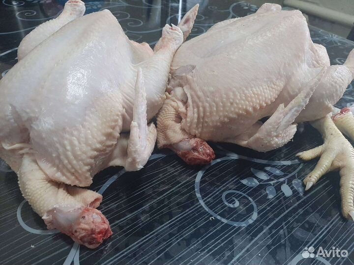 Домашние куры бройлеры мясо