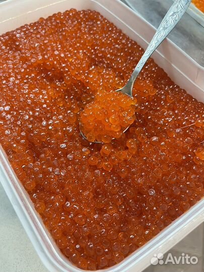 Красная икра горбуши 2023