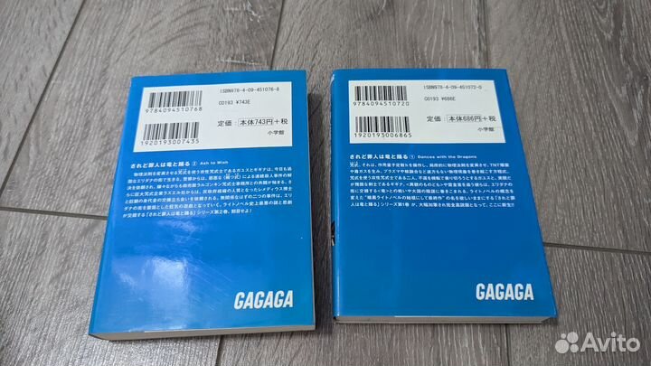 Saredo Tsumibito wa Ryuu to Odoru