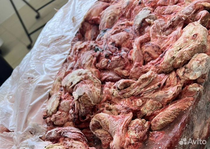 Мясо для собак в ассортименте