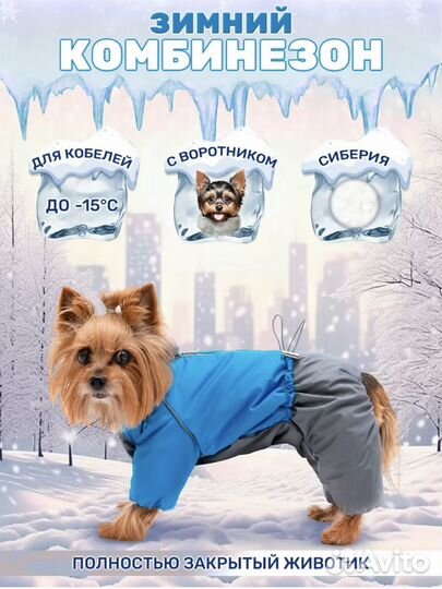 Зимний комбинезон для собаки