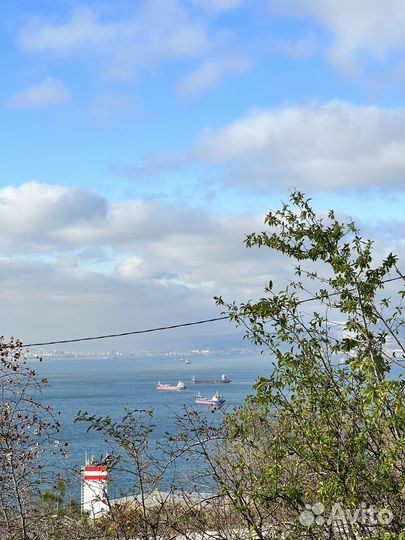 Оценка земельного участка