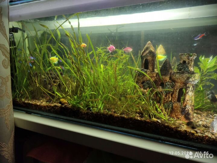 Аквариум