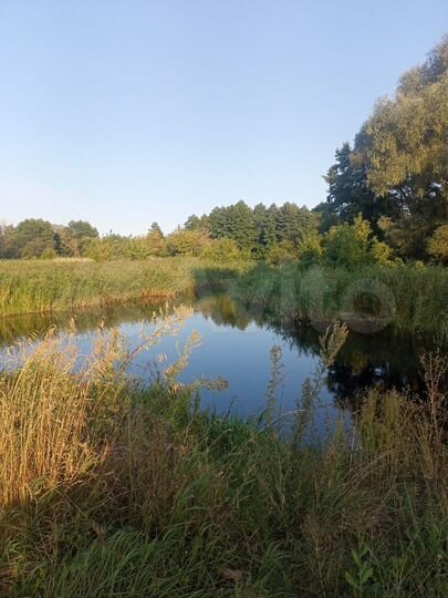 Участок 43 сот. (ИЖС)