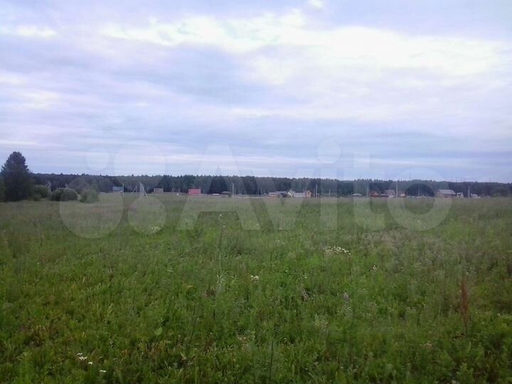 Участок 1,6 га (СНТ, ДНП)