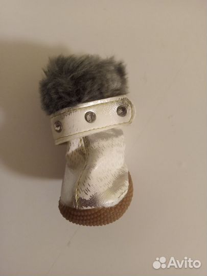 Ботинки для маленькой собаки