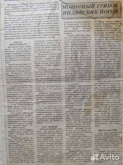 Молочный грибок (закваска)