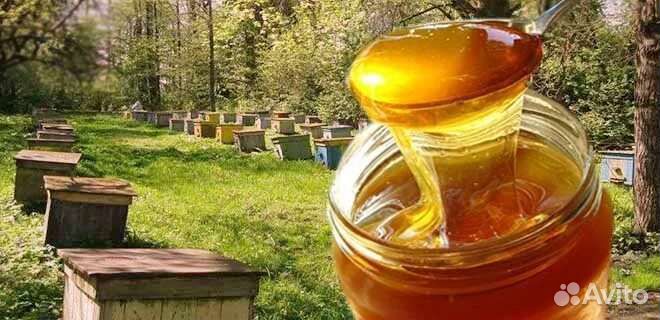 Мёд Белгородский натуральный домашний с пасики