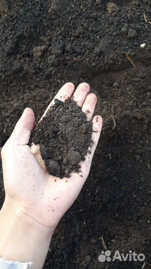 Чернозем на соболь вездеход доставка