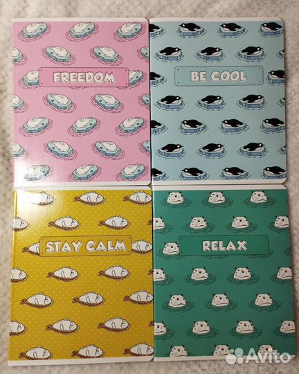 Теради 48 листов из Информат. Листы белые