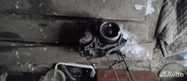 Мотор от ттр 250