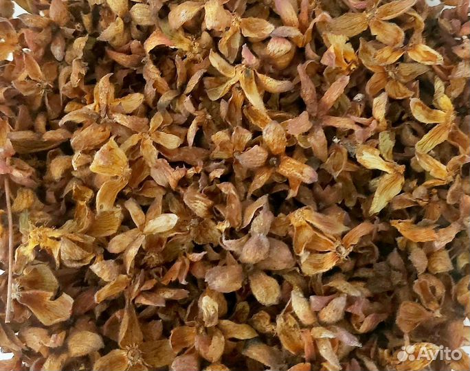 Варенье, грибы сухие, брусника топлёная, морошка