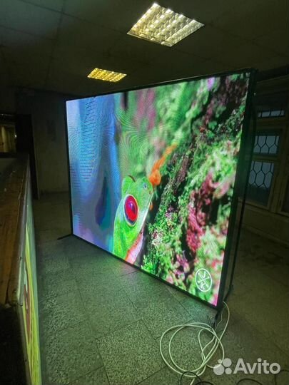 Видеоэкран для улицы и помещения