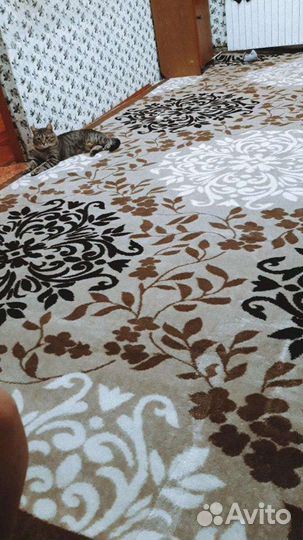 Палас в отличном состоянии