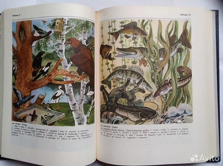 Словарь французско-русский и русско-французский