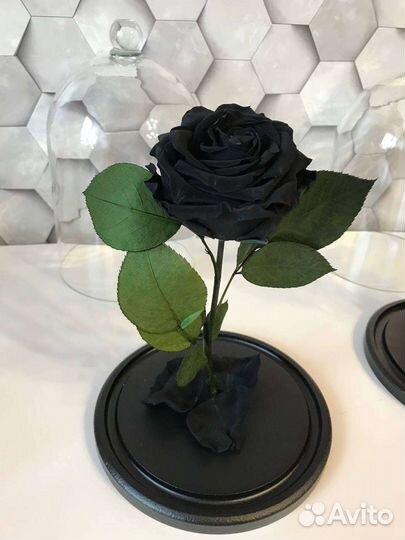 Роза в колбе