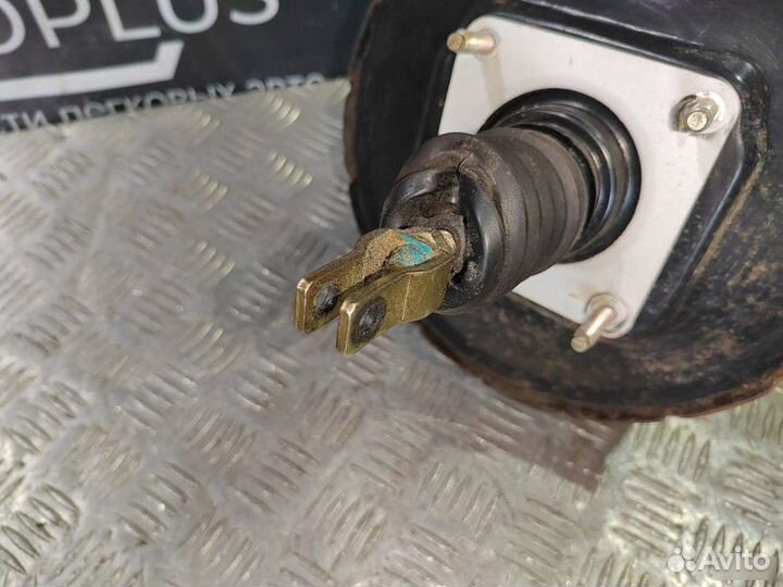 Вут+Гтц Byd F3 2005-2021