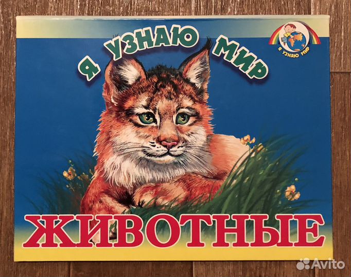 Книга-панорамка