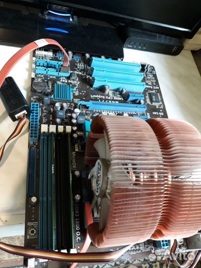 Asus, gigabyte