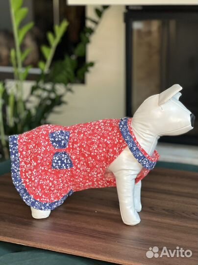 Одежда для собак