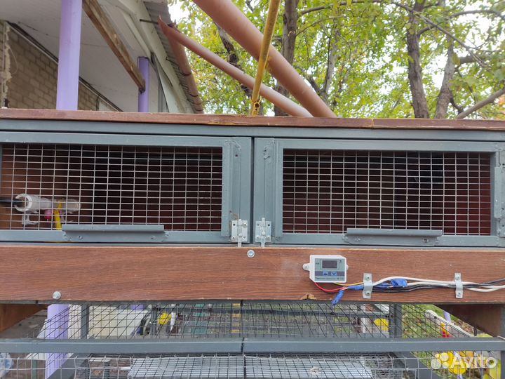 Клетки для перепелов бу