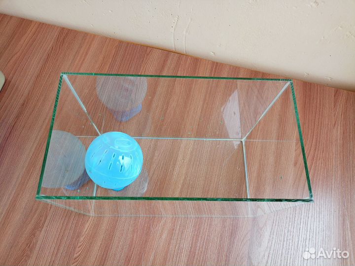 Аквариум для хомяка