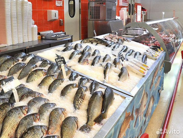 Рыбная франшиза — готовый прибыльный бизнес