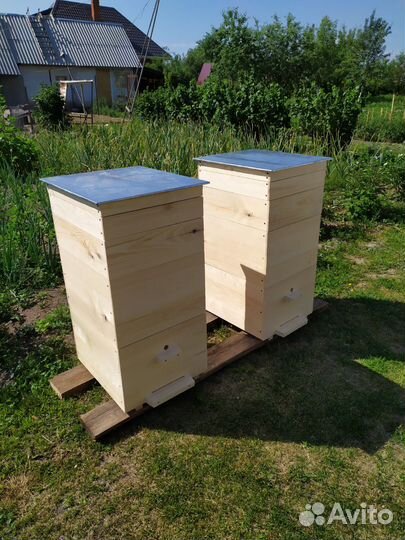 Улей для пчел
